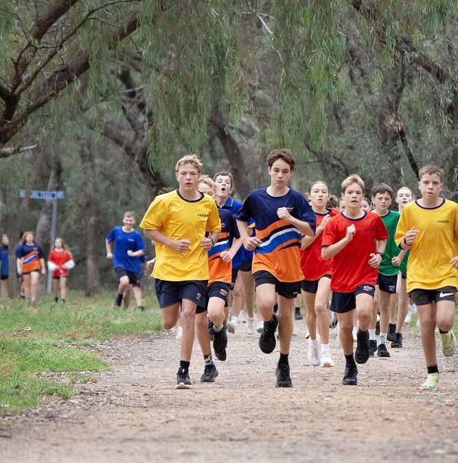 Cross country serves up healthy competition and downtime
