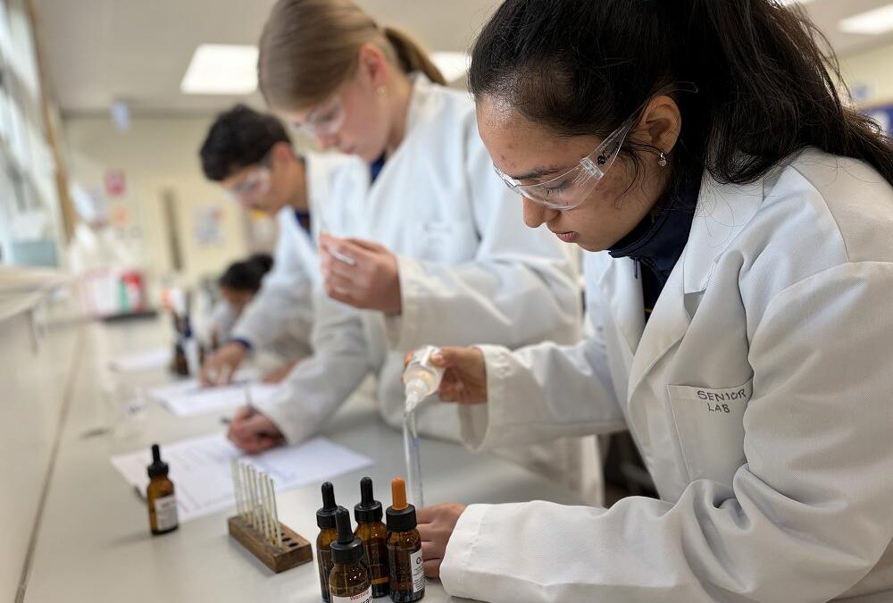SACE chemistry practicals enhance learning and prepare for lab confidence